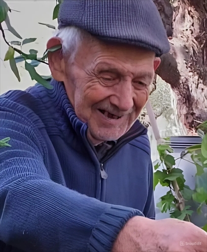Vincenzo STRIPPOLI