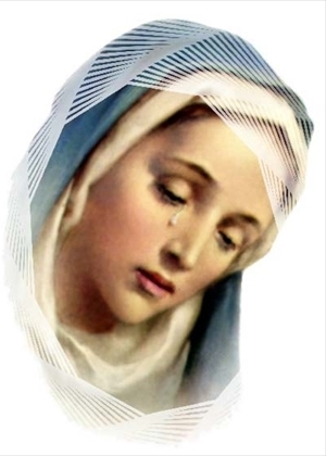ANNA MARIA CIOCIA in Picardi