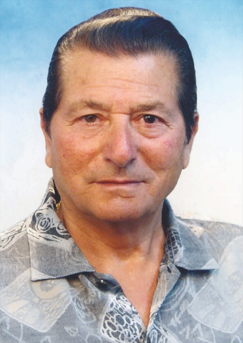 DOMENICO  LAUTA