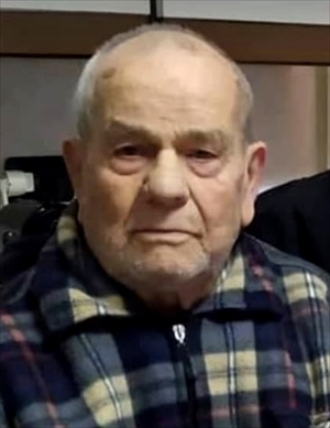 FRANCESCO  CERVELLI