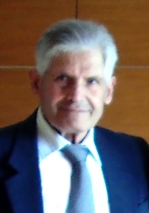 DOMENICO PIARULLI DOMENICO PIARULLI