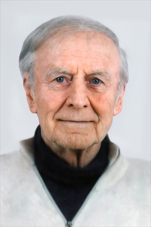 Domenico Gallo fu Michele (COMMERCIALISTA)