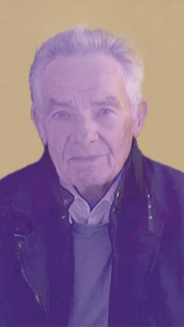 Nicola Ventricelli, Nicola Ventricelli,