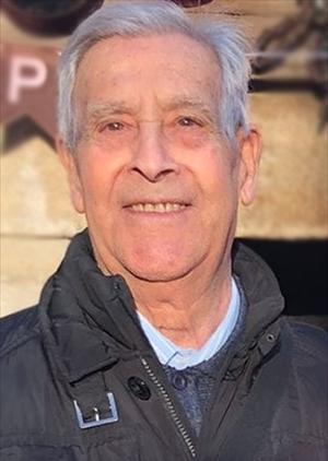 FRANCESCO DELVINO FRANCESCO DELVINO