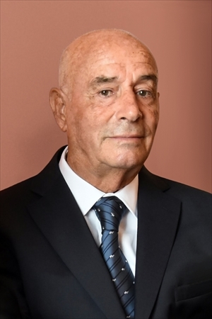 Prof. Felice Petrone
