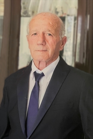 Amedeo Tarricone  fu Domenico