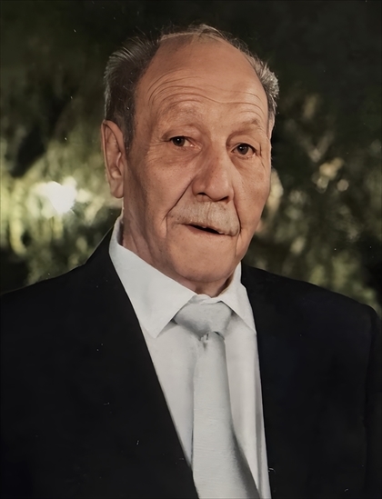 Domenico CIPRIANI