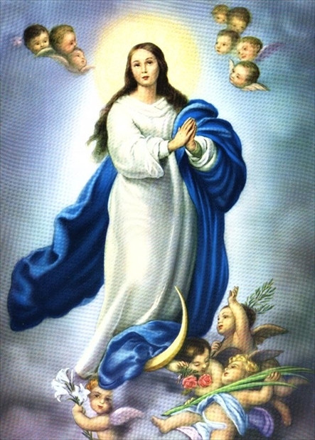 MARIA ANTONIETTA AMENDOLAGINE MARIA ANTONIETTA AMENDOLAGINE