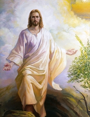 Cataldo Leuci fu Francesco