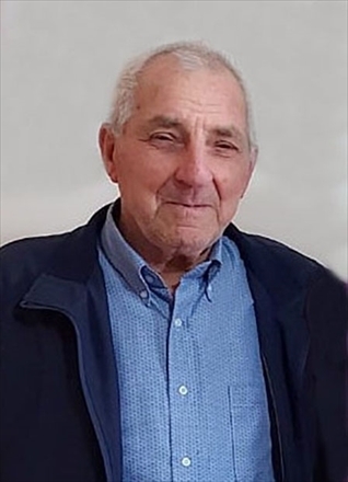 Domenico Rinaldi, Domenico Rinaldi,