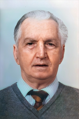 Domenico De Benedittis