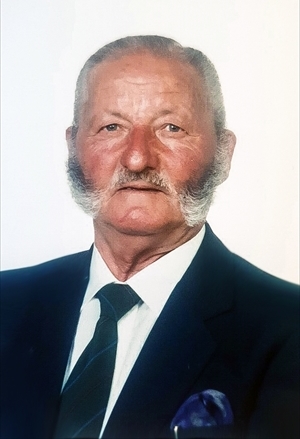Alfonso Vitale
fu Francesco (IMPRENDITORE)