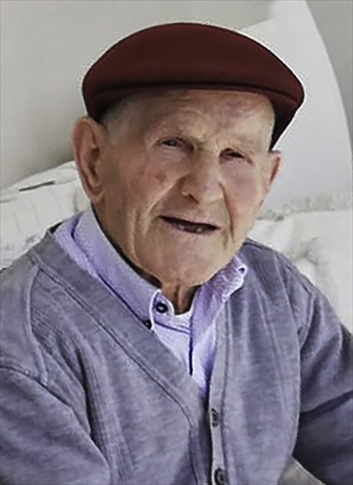 Vincenzo Petrone