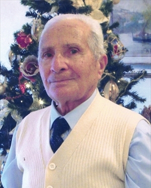 VITTORIO LUIGI DE VANNA